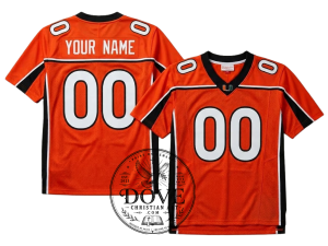 Sean Taylor Miami Hurricanes hockey jersey